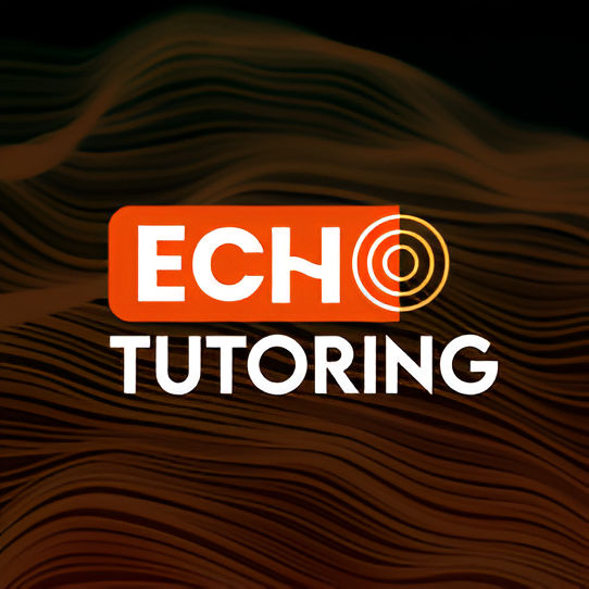 Echo Learning Icon